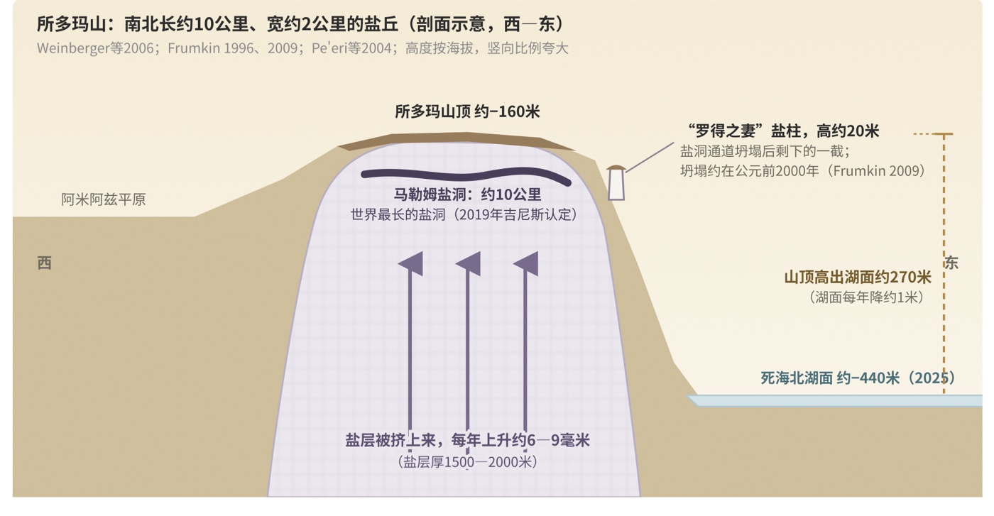 图二　还在长高的盐山：所多玛山盐丘示意